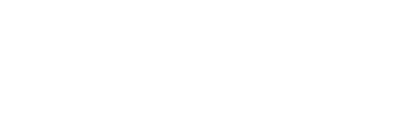 Lion Films AI Studio
